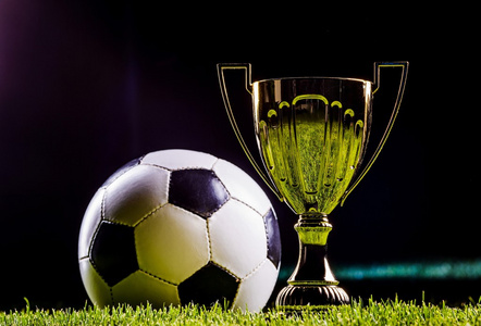 都经过严格 都经过严格