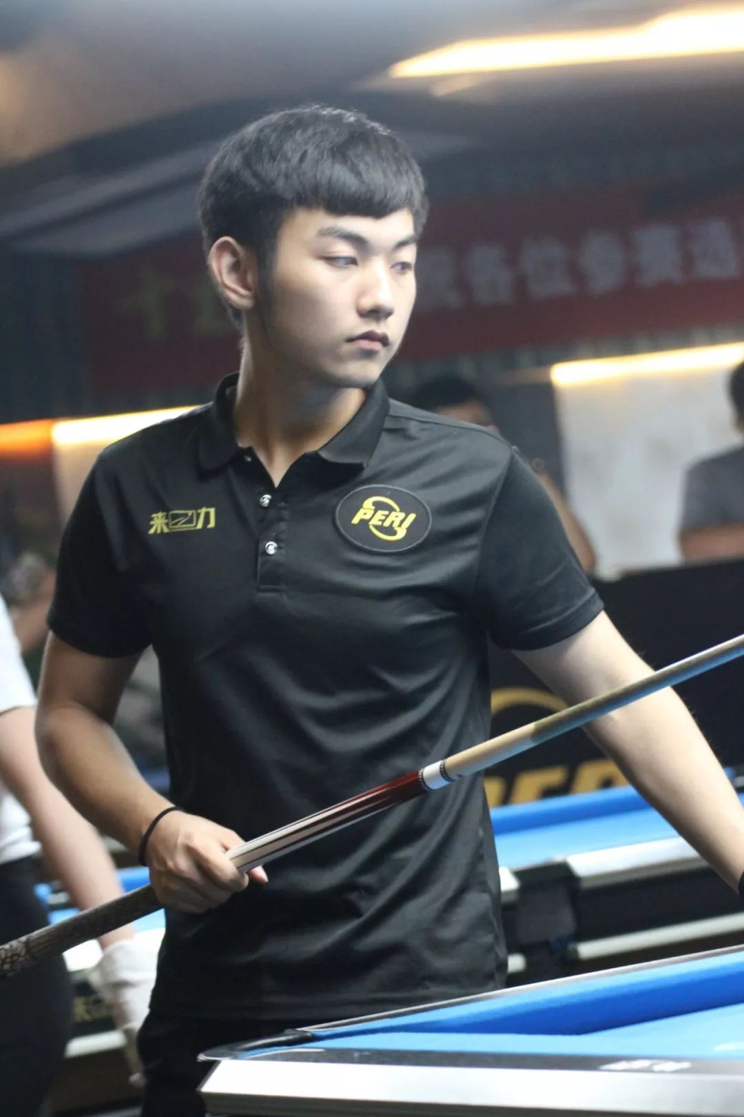 的运作逻辑 的运作逻辑